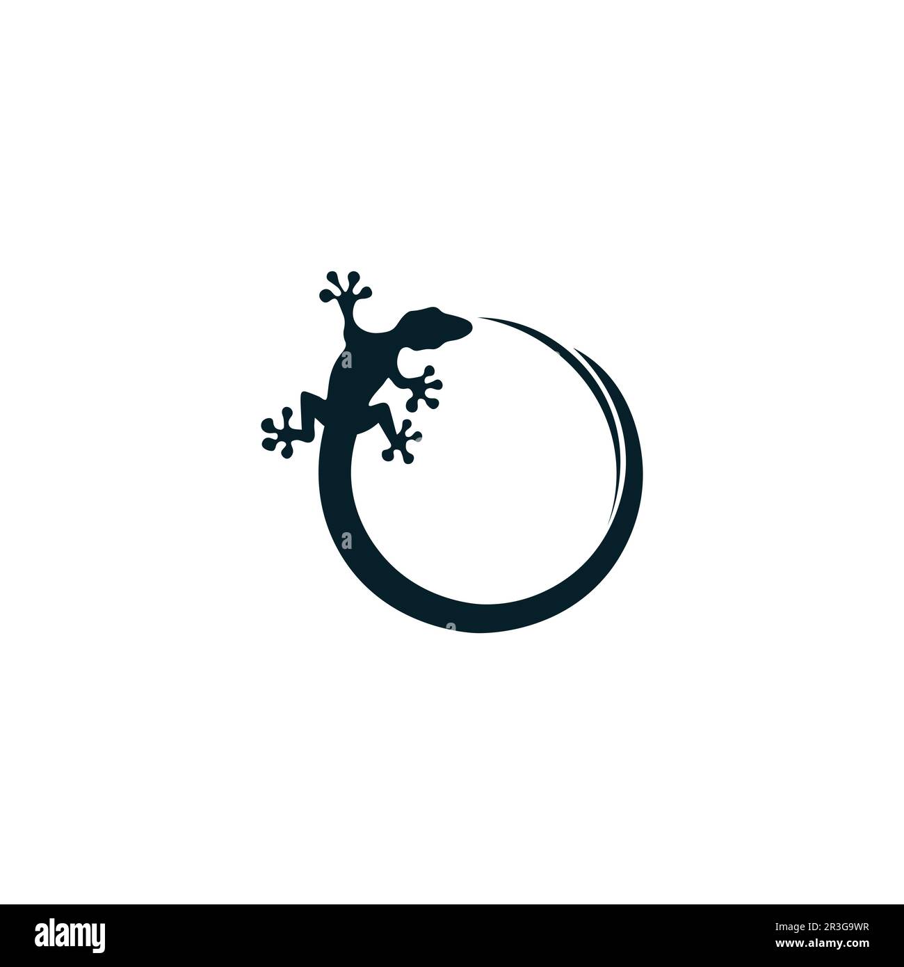 lizard animal vector salamander gecko crocodile and reptiles design