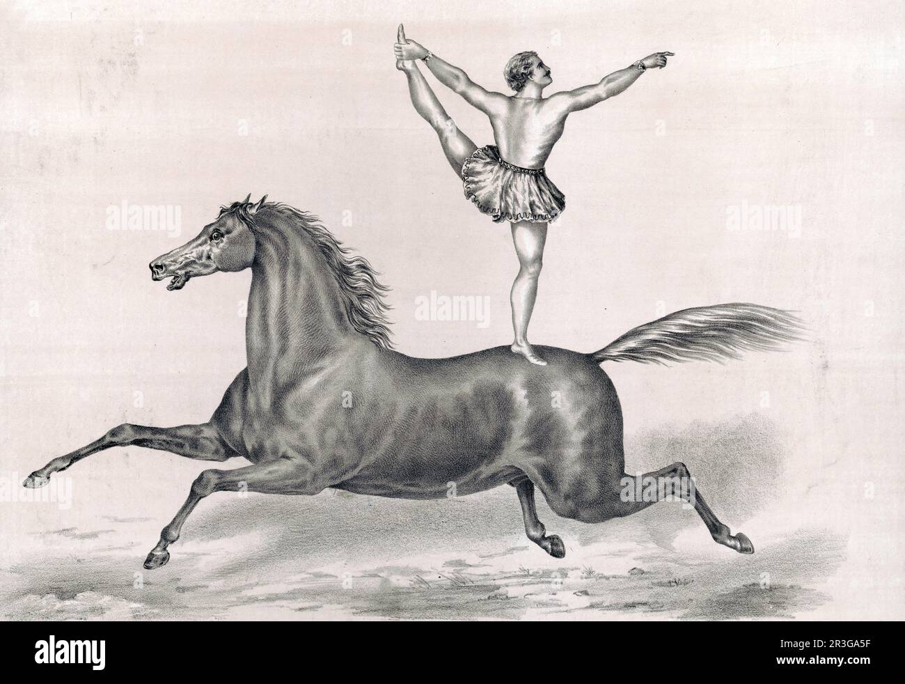 Vintage print of a male circus performer standing and riding on a bareback horse. Stock Photo