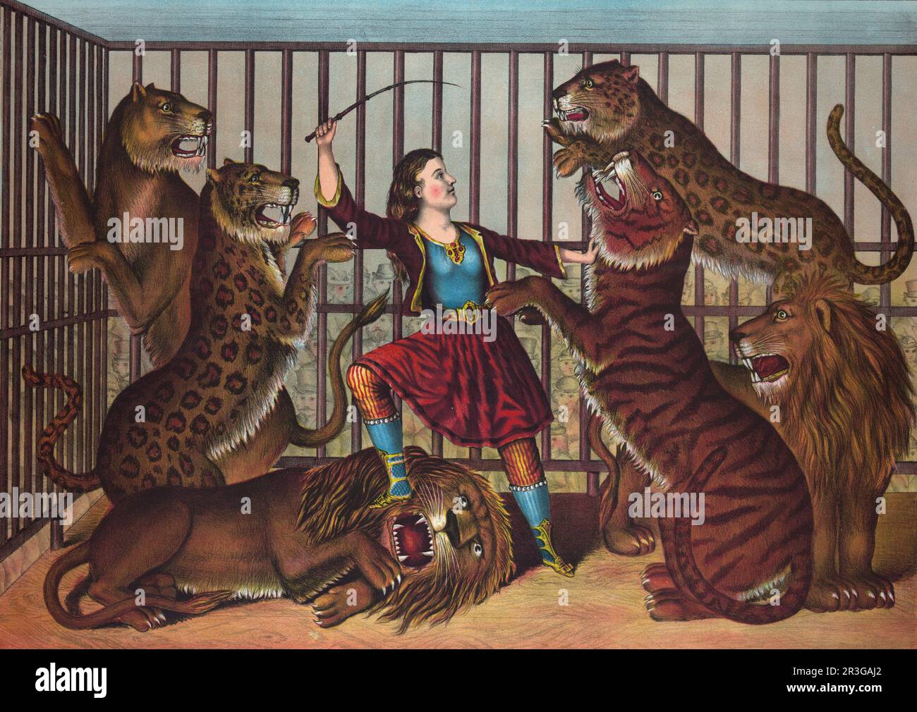 Vintage print showing a woman lion-tamer in a cage with several lions and tigers, circa 1874. Stock Photo