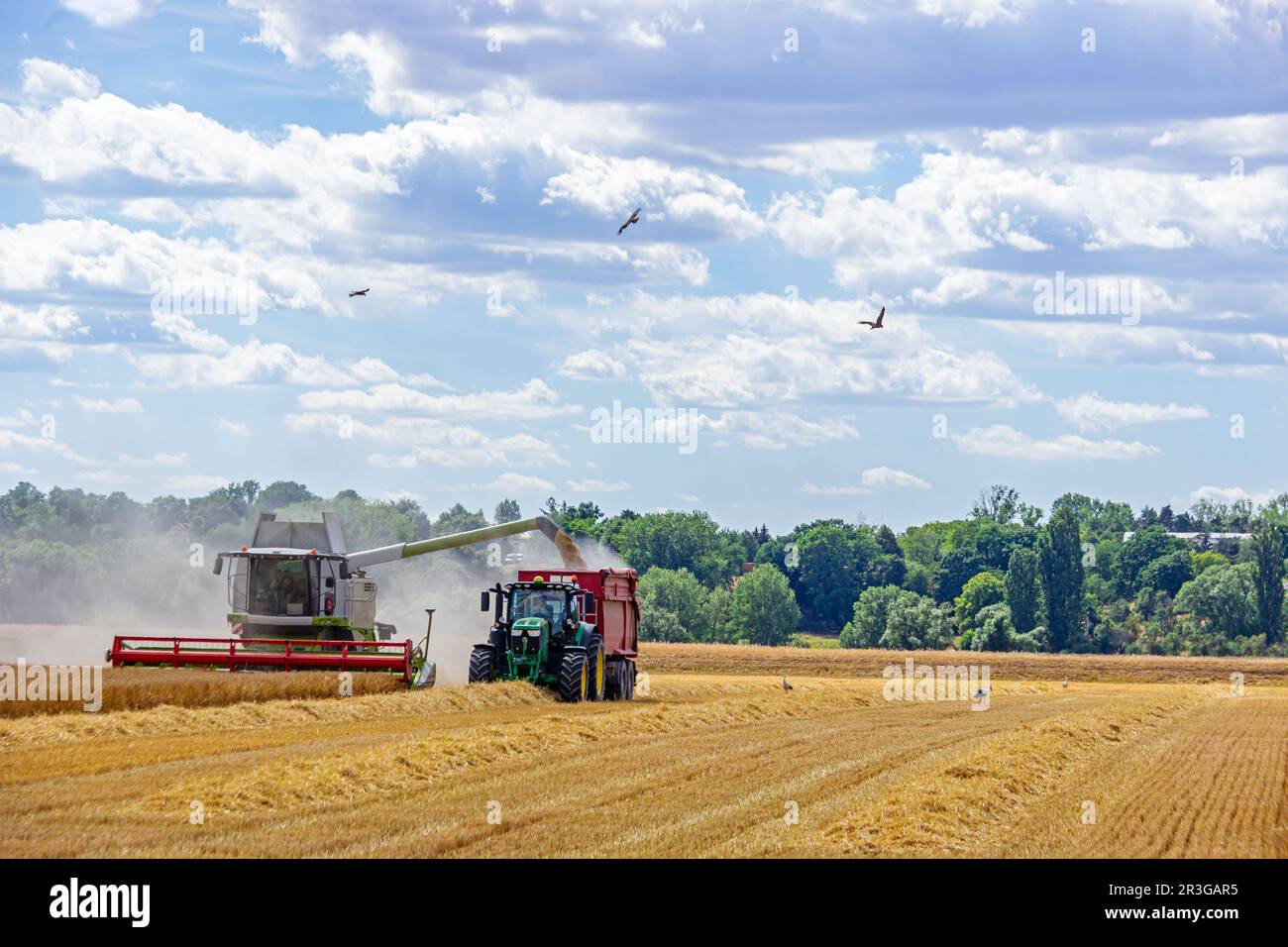 Harvest Stock Photo