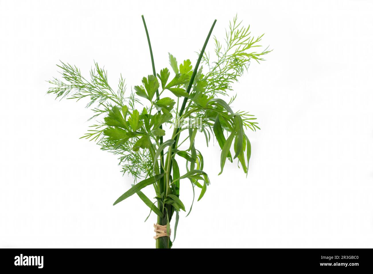 Bundle of fresh kitchen herbs on white Stock Photo