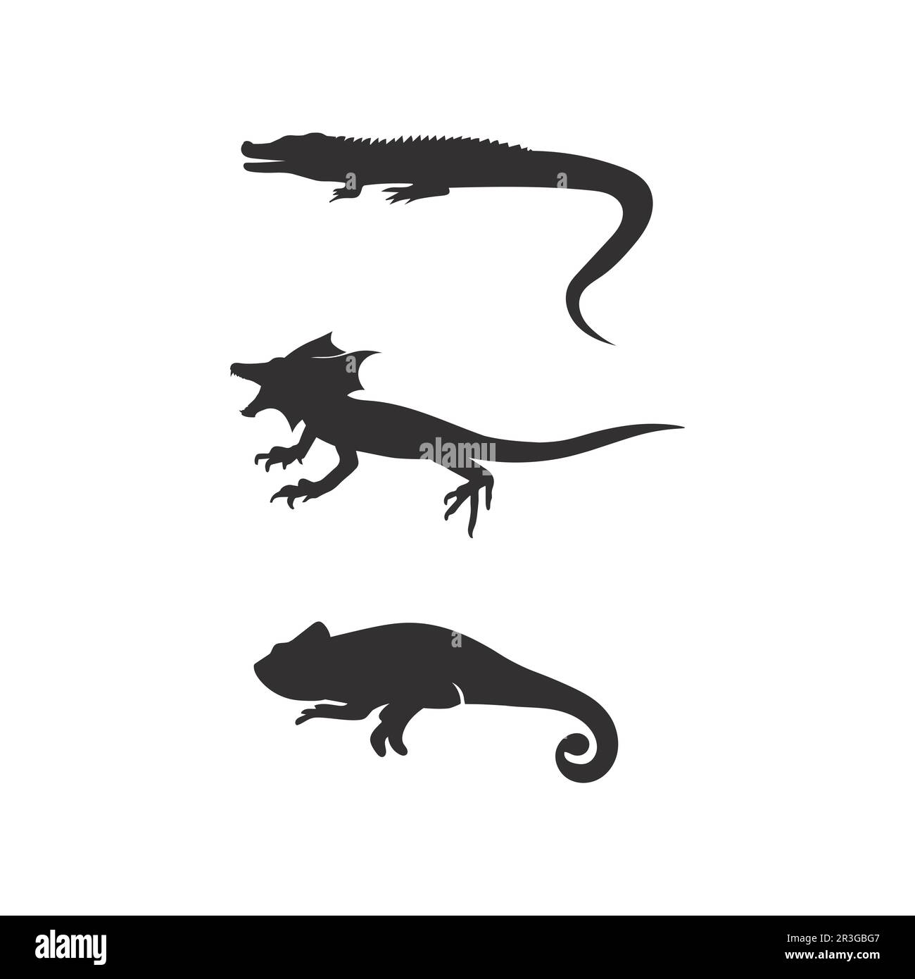 lizard animal vector salamander gecko crocodile and reptiles design