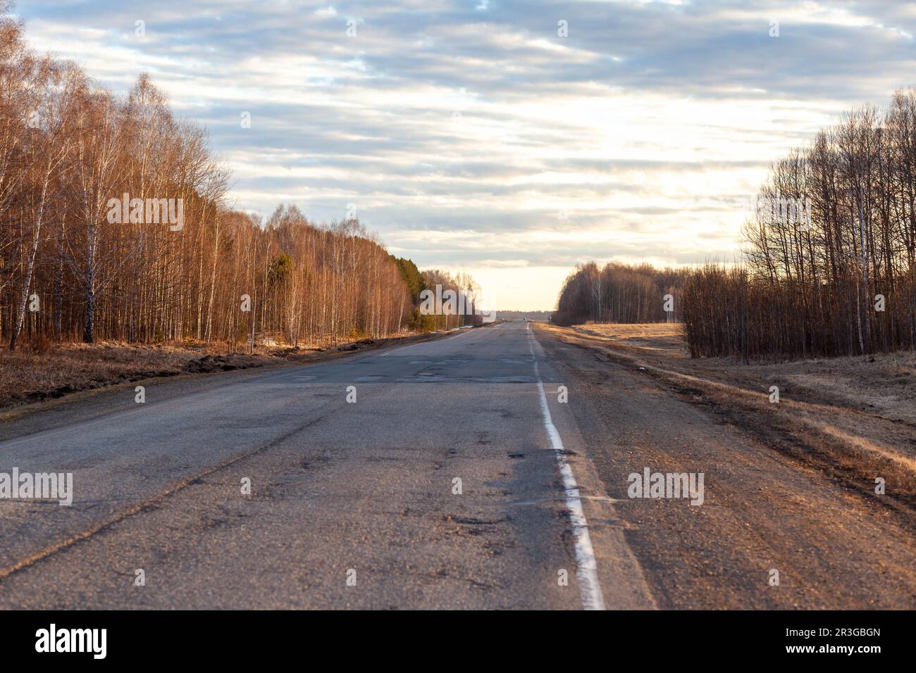 Country road with markings in the middle of the forest. Path and movement forward through forest