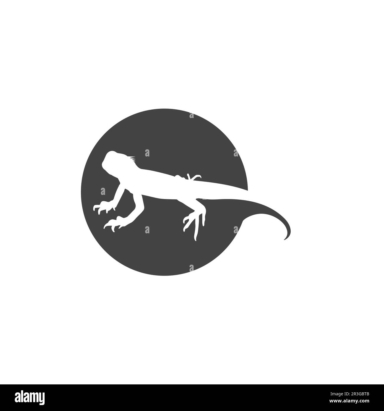 lizard animal vector salamander gecko crocodile and reptiles design ...
