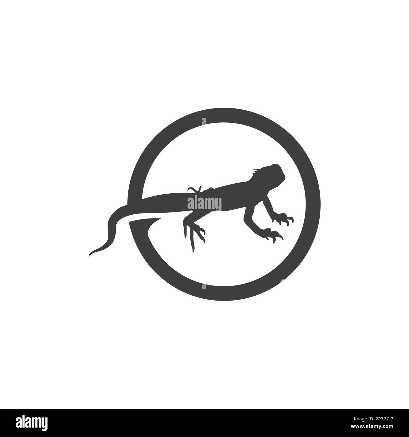 lizard animal vector salamander gecko crocodile and reptiles design ...