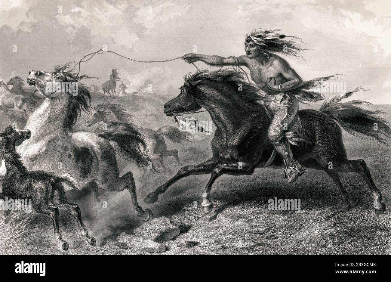 Native American lassoing wild horses. Stock Photo
