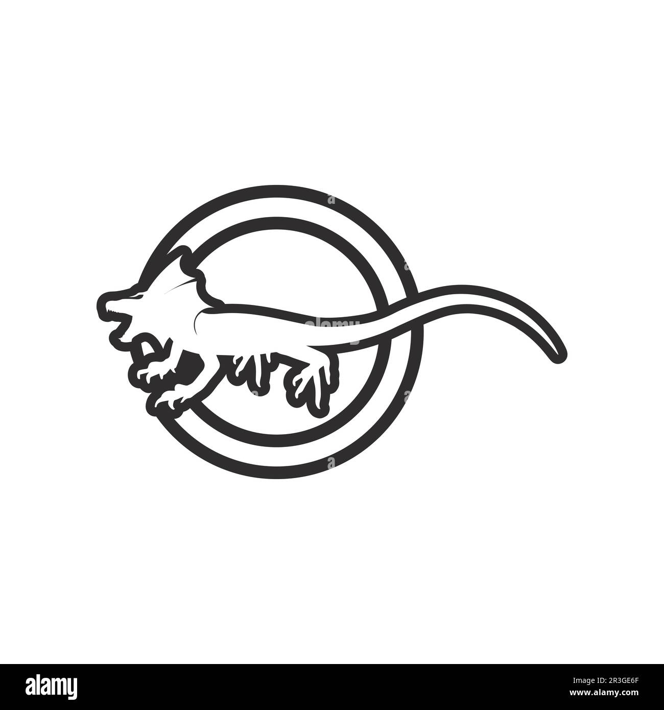 lizard and animal vector salamander gecko crocodile and reptiles design ...
