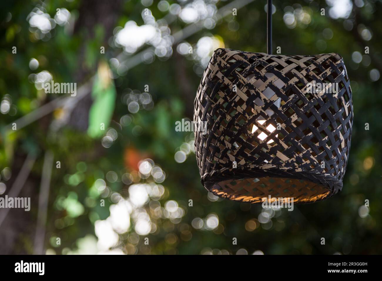 Wood lamp on tree with bokeh background Stock Photo