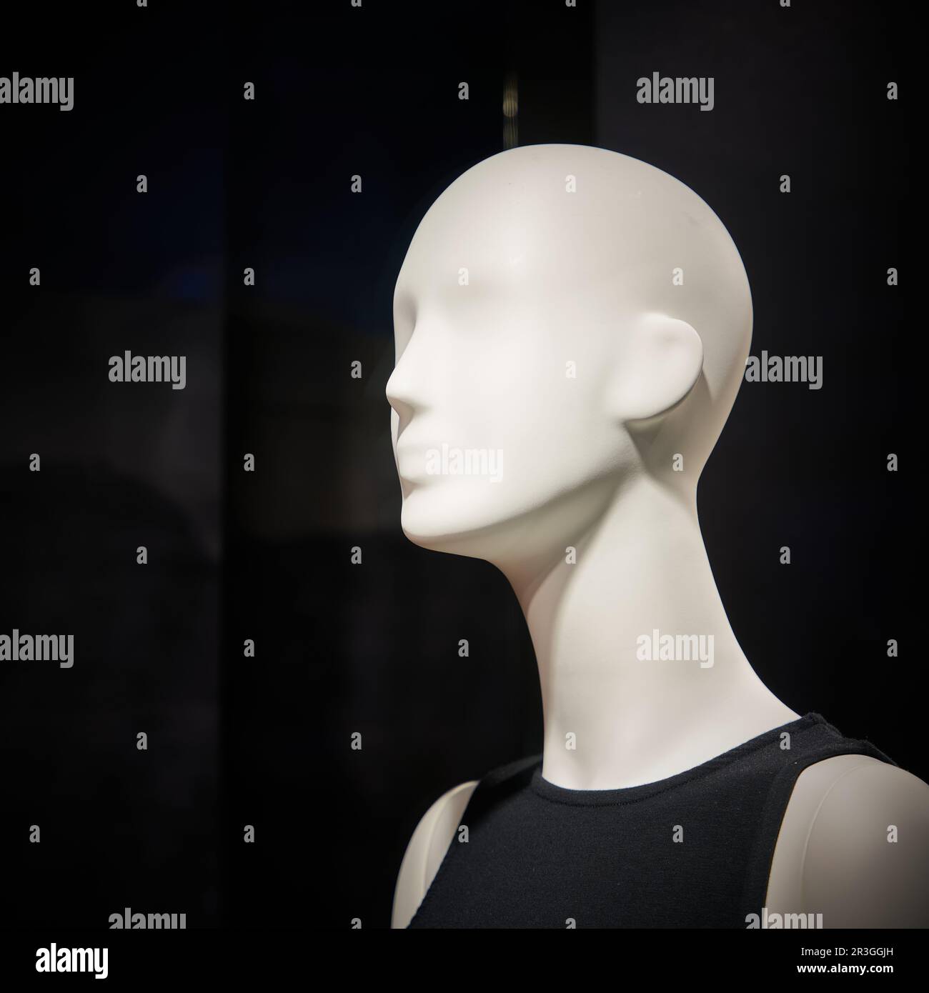 A row of identical bald mannequin heads, shoulder to shoulder, looking  upward Stock Photo - Alamy