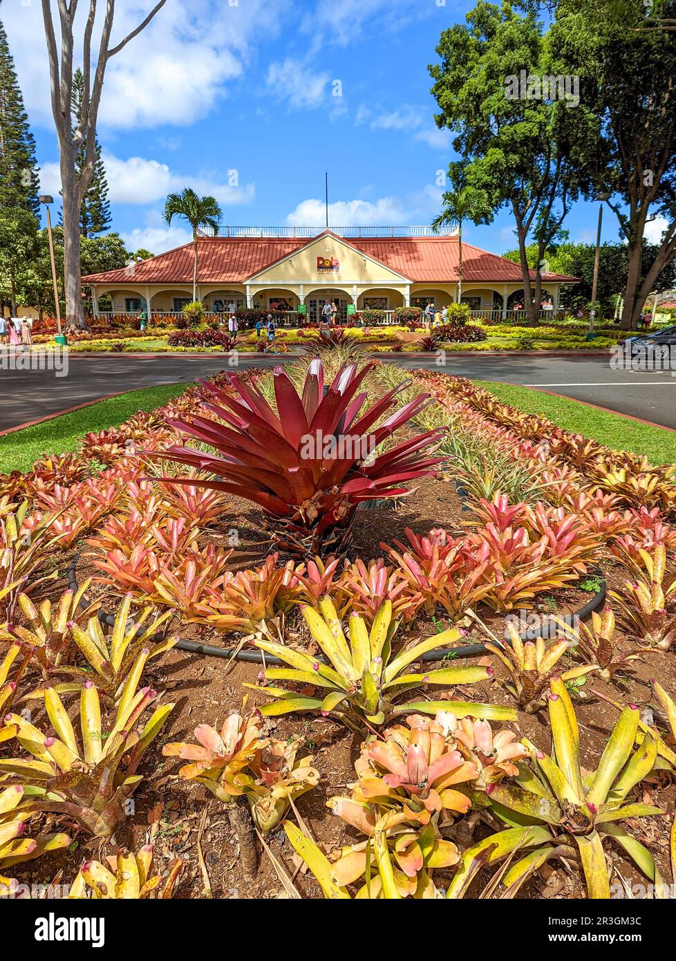 Dole island hires stock photography and images Alamy