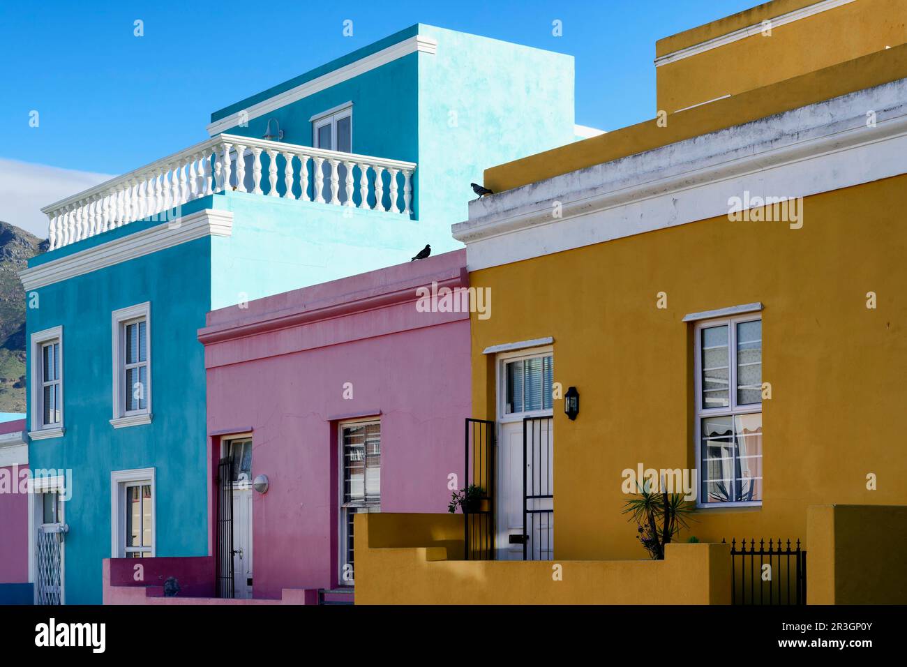 Art and Culture Activities in Cape Town | Experiences, Activities \u0026 More! -  Western Cape - Airbnb, image size:1300x956