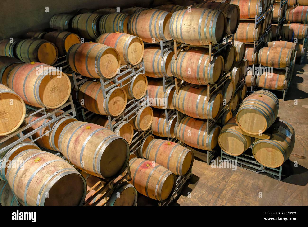 Barrels in the wine cellar, Groot Constantia Wine Estate, Cape Town