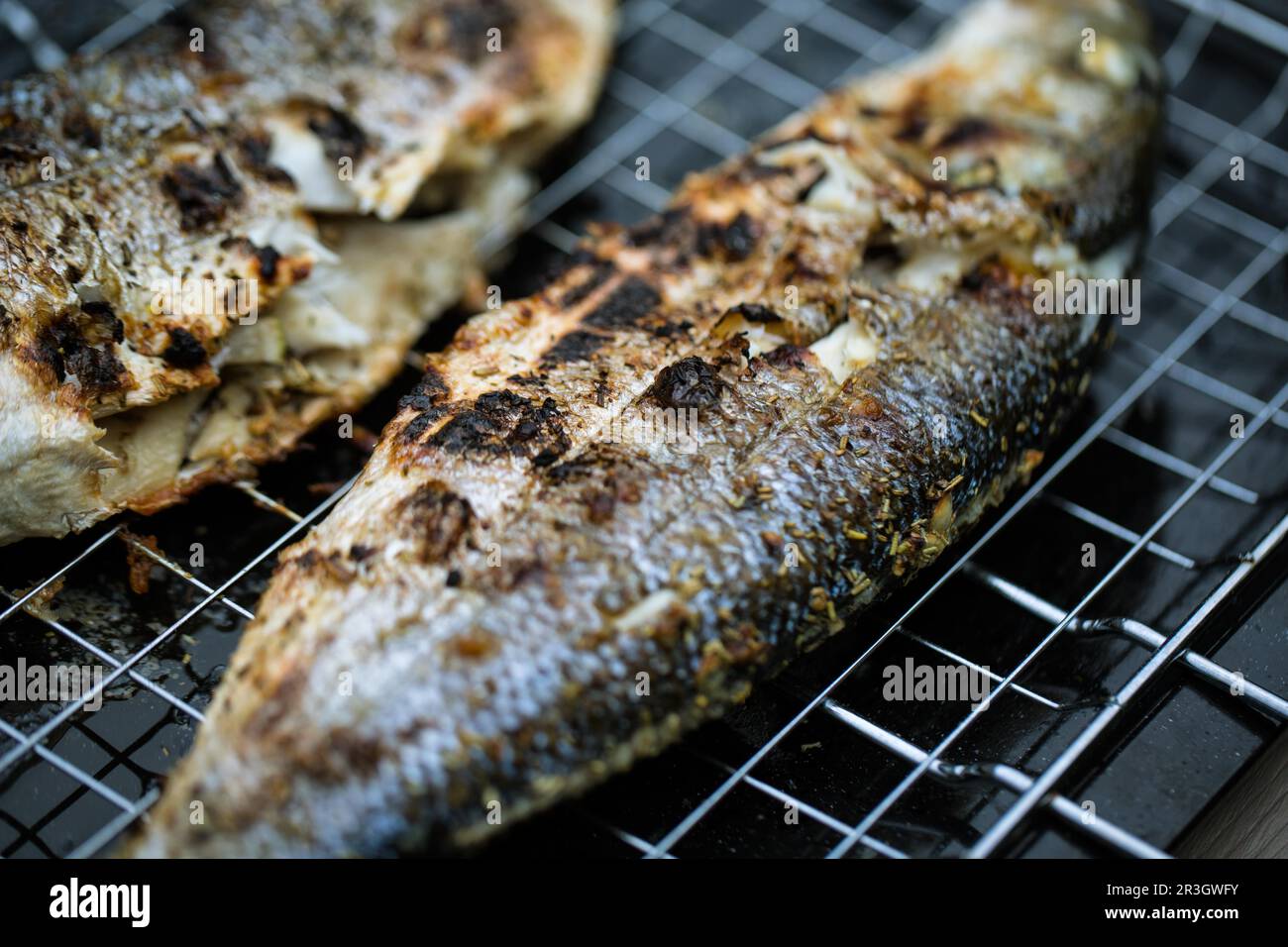 Freshly grilled sea bass Stock Photo