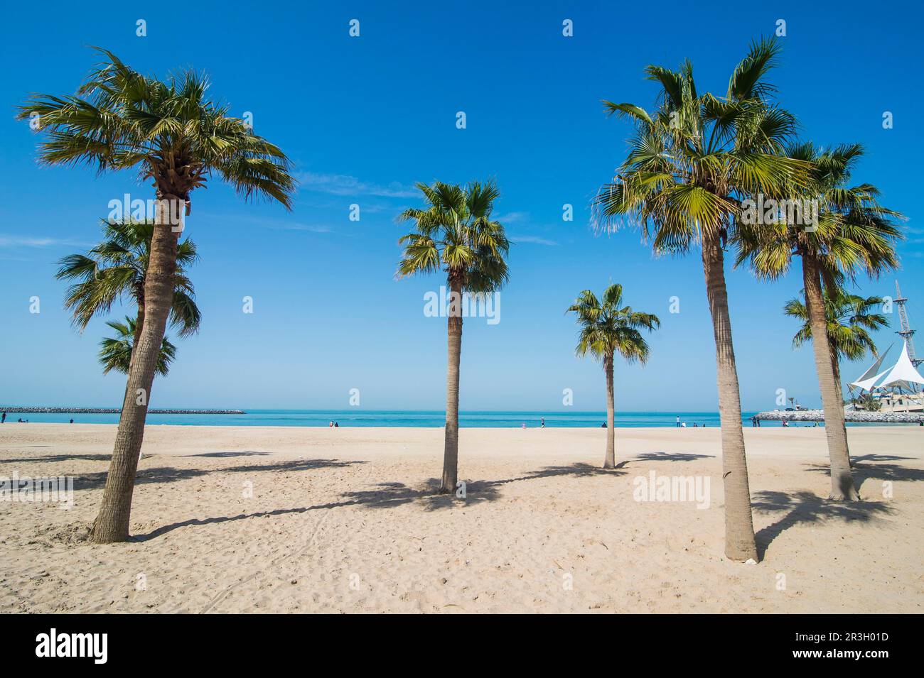 Palm fringed Marina beach, Kuwait City, Kuwait Stock Photo