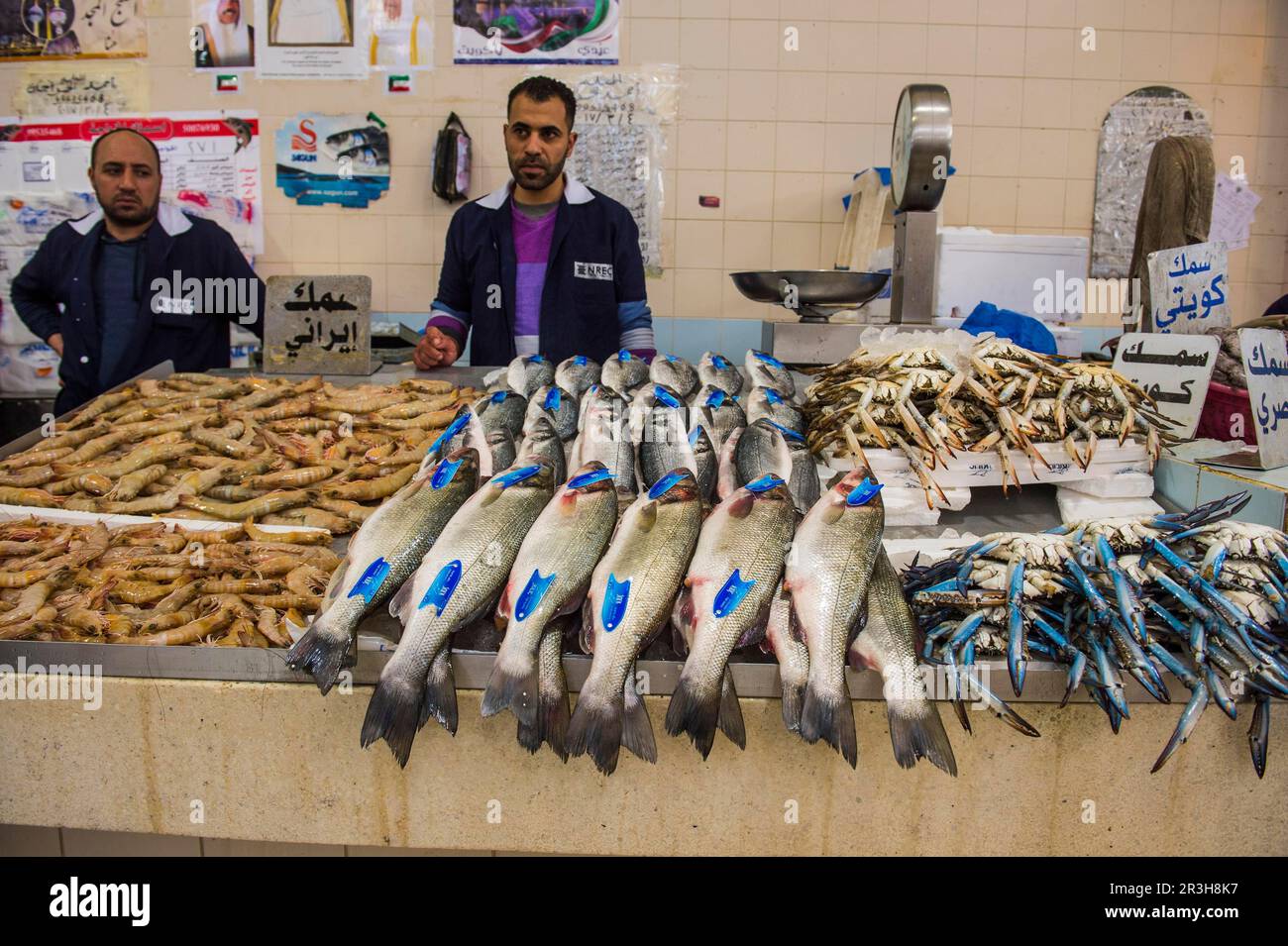 Local fisher man showing his fish, Fishing market, Kuwait City, Kuwait Stock Photo Alamy