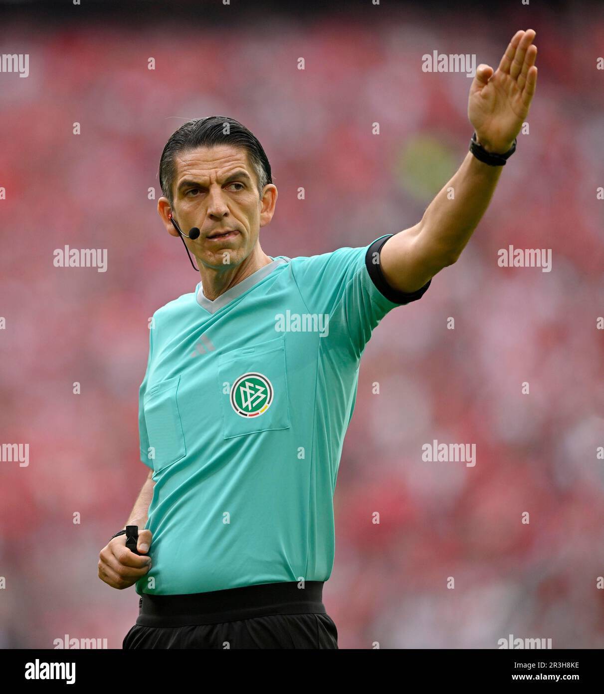 Referee Deniz Aytekin, gesture, gesture, Allianz Arena, Munich, Bayern, Germany Stock Photo