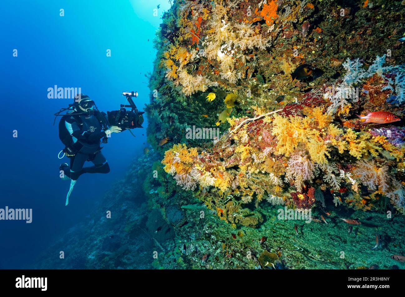 Cameraman filming on coral reef with professional underwater video camera type RED Dragon X 6K Digital Cinema Camera in Nauticam underwater housing Stock Photo