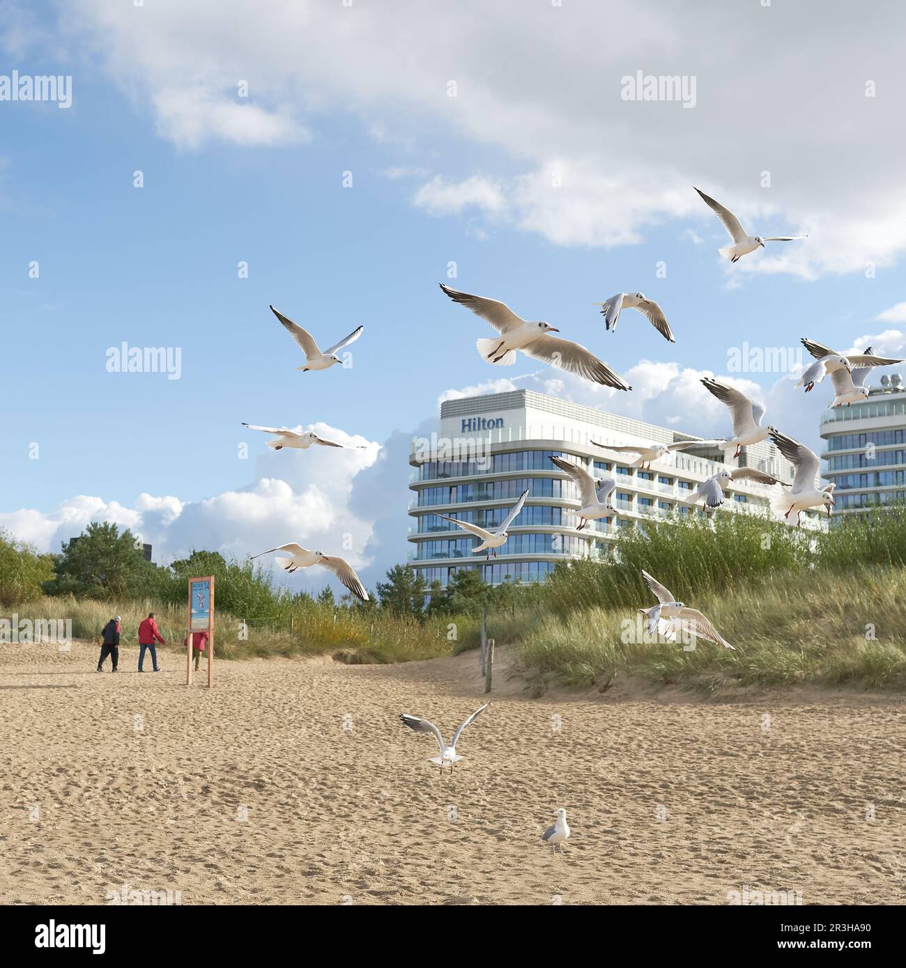 Seagulls and holidaymakers on the beach of the Polish Baltic coast in the resort of Swinoujscie Stock Photo
