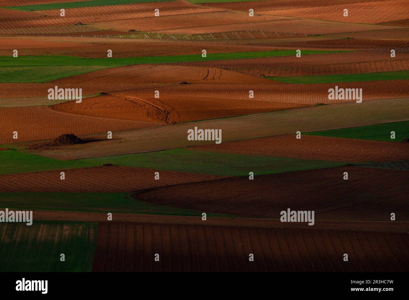 fields of labor, Consuegra, province of Toledo, Castilla-La Mancha, Spain. Stock Photo