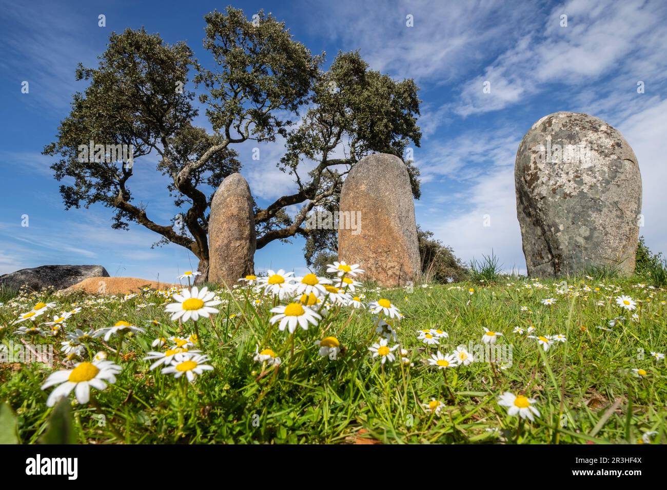 cromlech Vale Maria do Meio , Nossa Senhora da Graça do Divor ,Évora