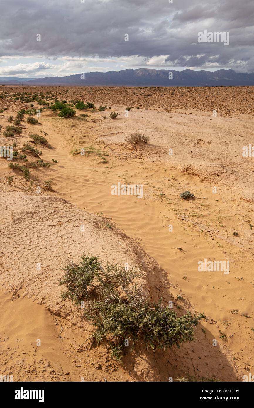 valle del Muluya. Atlas medio. Marruecos, Africa. Stock Photo