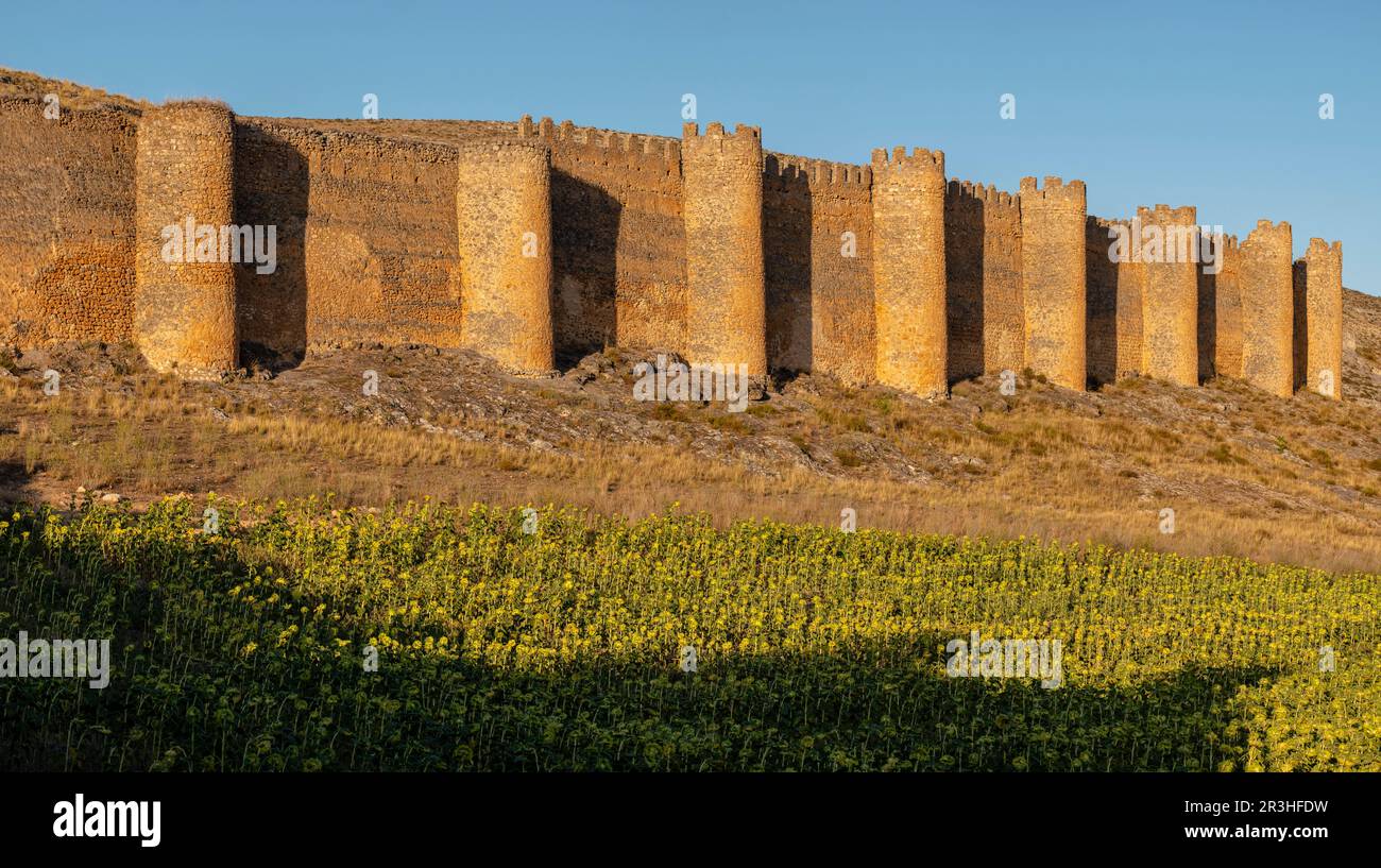cerca vieja, siglos X-XII, castillo del siglo XV, Berlanga de Duero, Soria, comunidad autónoma de Castilla y León, Spain, Europe. Stock Photo