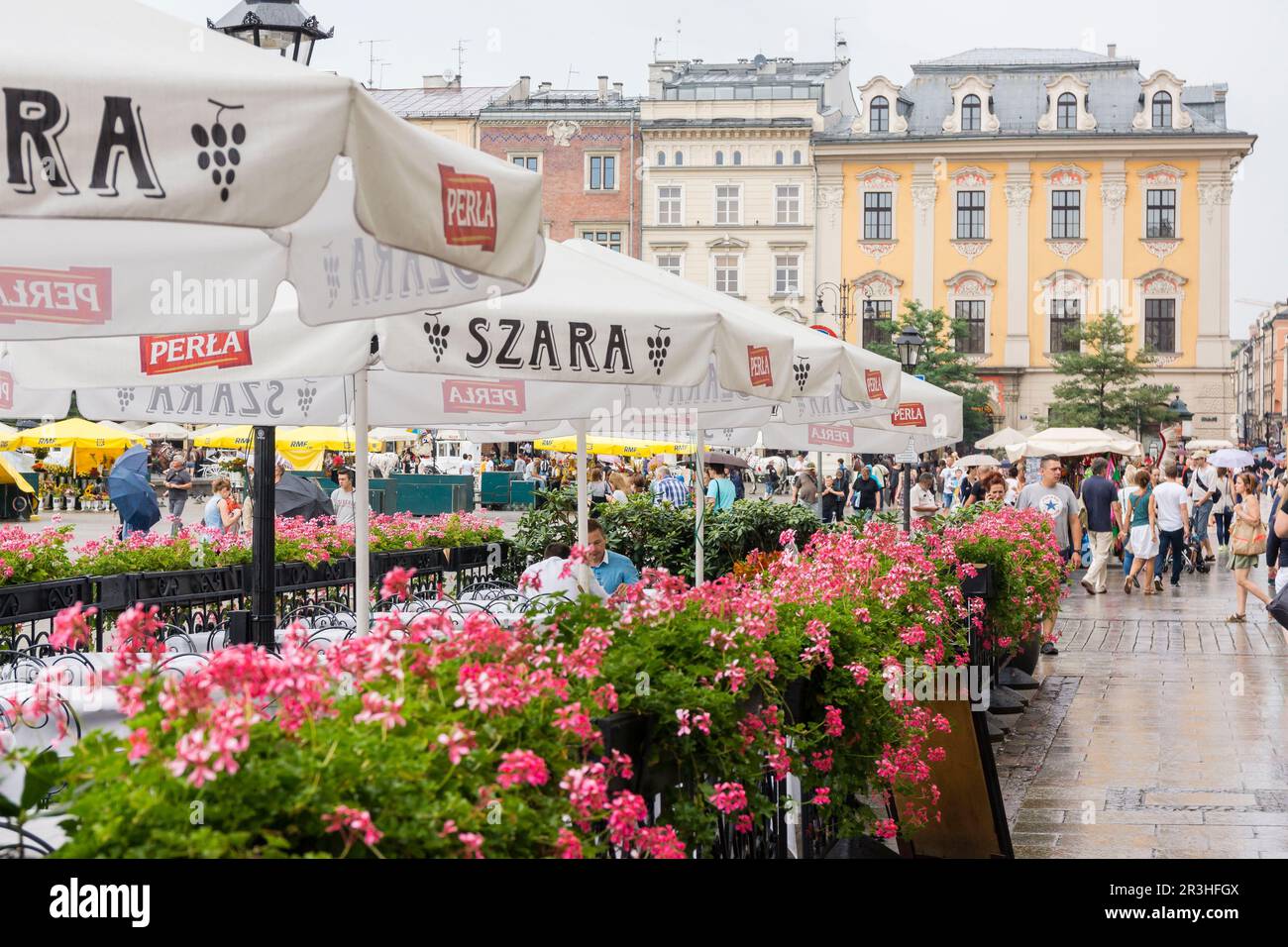 Rynek Gówny , plaza del mercado, Cracovia , voivodato de Pequeña Polonia,Polonia, eastern europe. Stock Photo