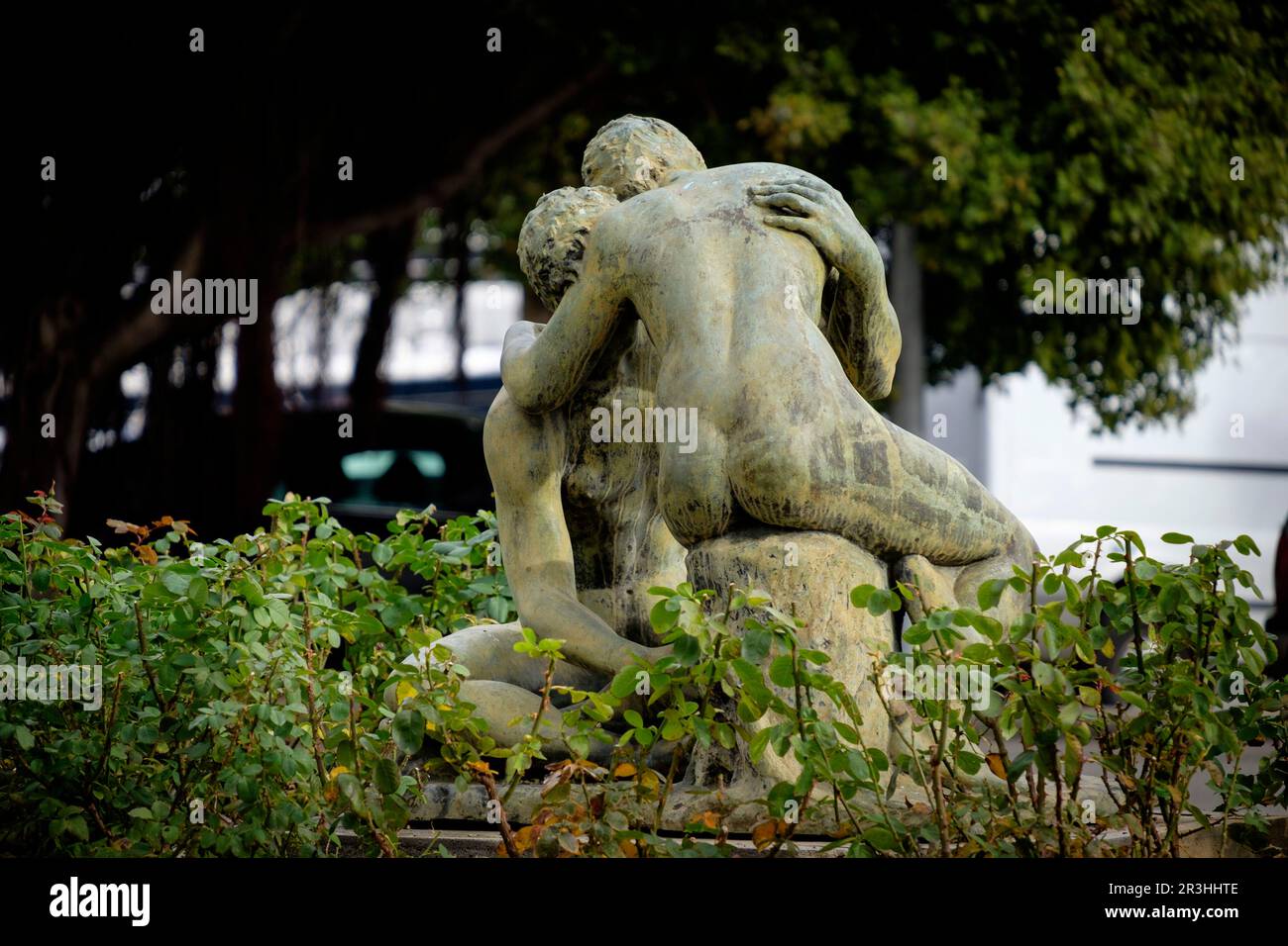 Palma de bronce hi-res stock photography and images - Alamy