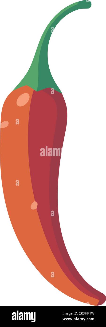 Fresh organic chili pepper vegetable Stock Vector Image & Art - Alamy