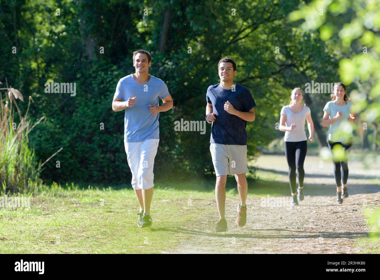 people running on forest trail in spring green trees Stock Photo - Alamy