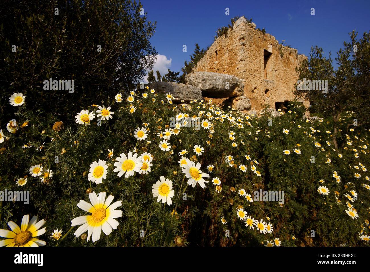 Santuario edad de bronce hi-res stock photography and images - Alamy