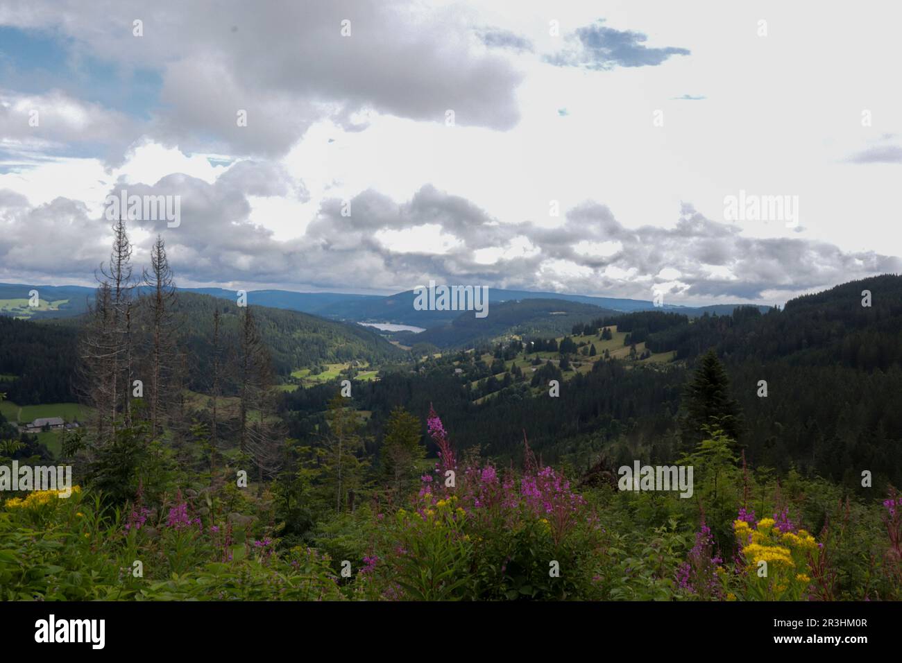 Thuringian Tranquility: Exploring the Breathtaking Hilly Landscapes of ...