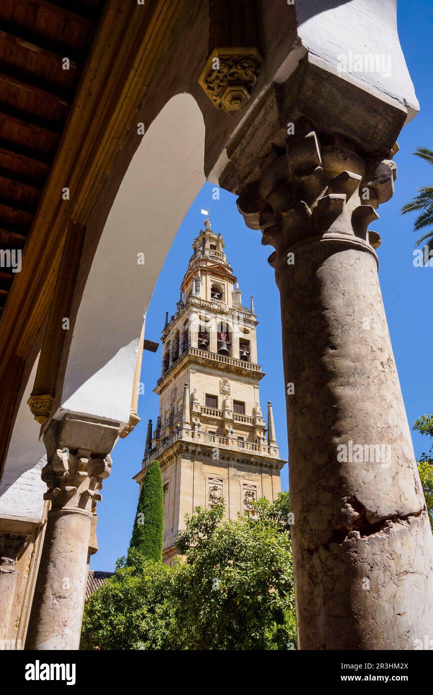 torre campanario sobre el alminar, patio de los naranjos, Mezquita-catedral de Córdoba, Andalucia, Spain. Stock Photo