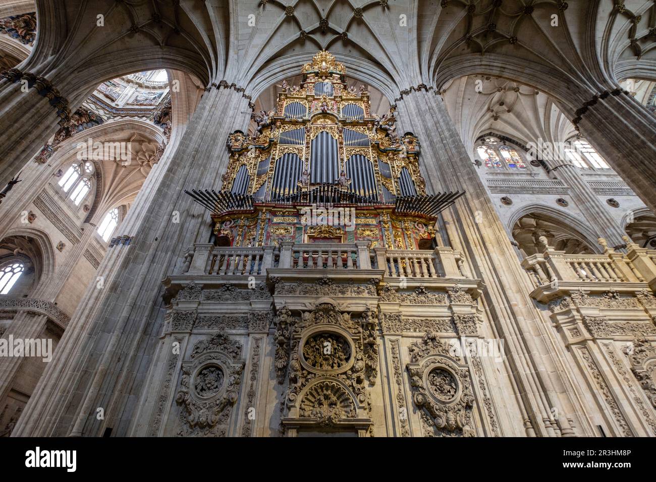 órgano del Evangelio, construido por Pedro de Echevarria en 1744, Catedral de la Asunción de la Virgen, Salamanca, comunidad autónoma de Castilla y León, Spain. Stock Photo
