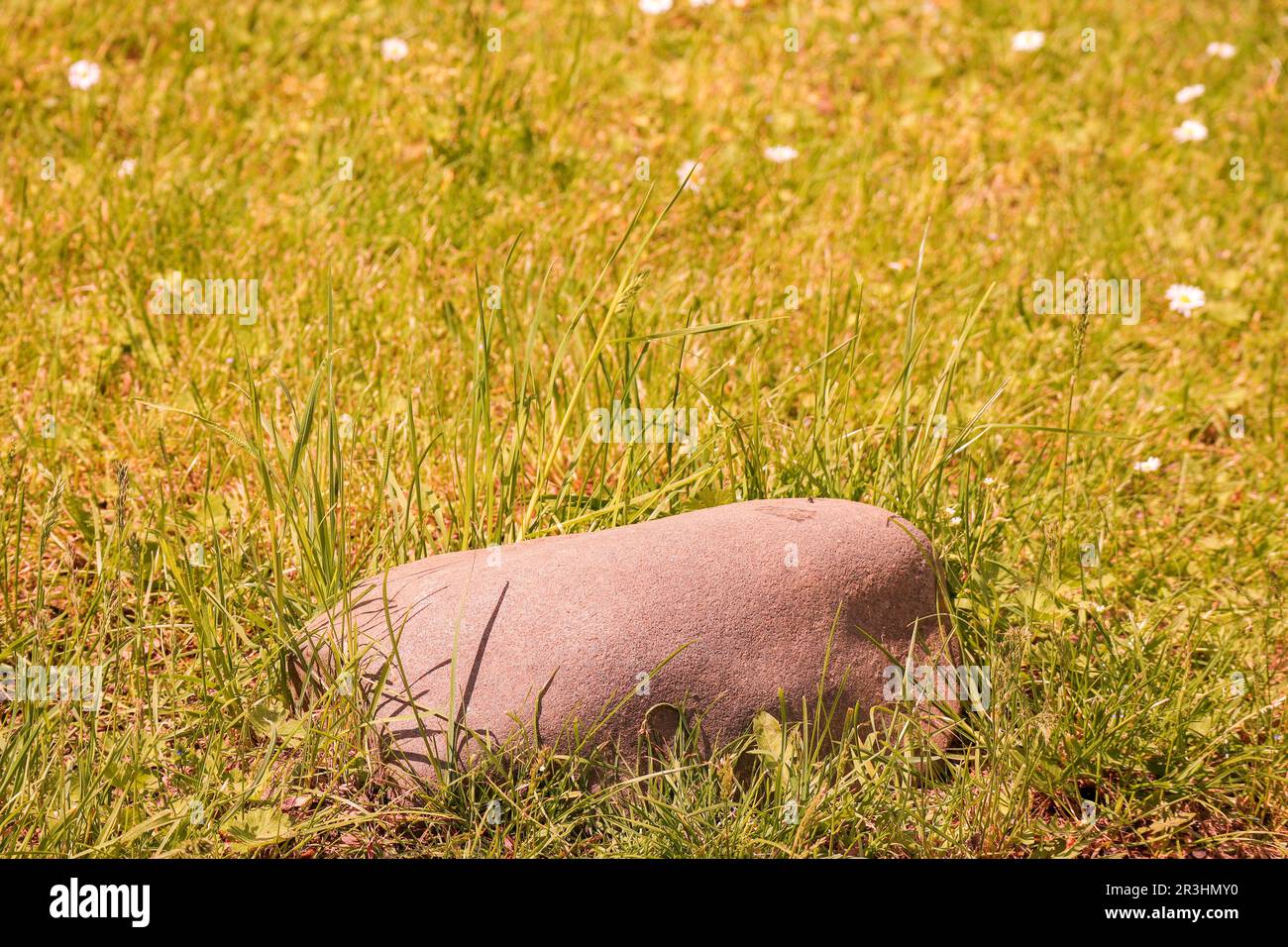 Nature's Solidity: A Majestic Stone Amidst a Serene Green Meadow Stock Photo