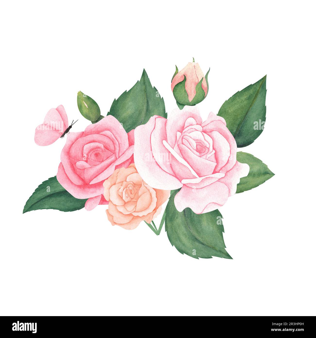 Watercolor pink peach pastel rose with green leaf and bud. illustration ...
