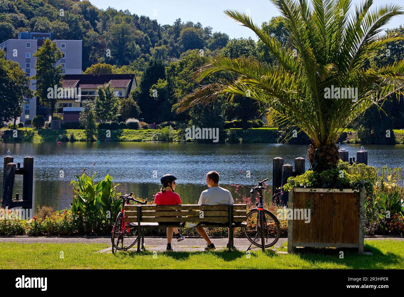 Cyclists on the Ruhr Valley Cycle Path with palm trees, reservoir, Kettwig, Essen, Germany, Europe Stock Photo