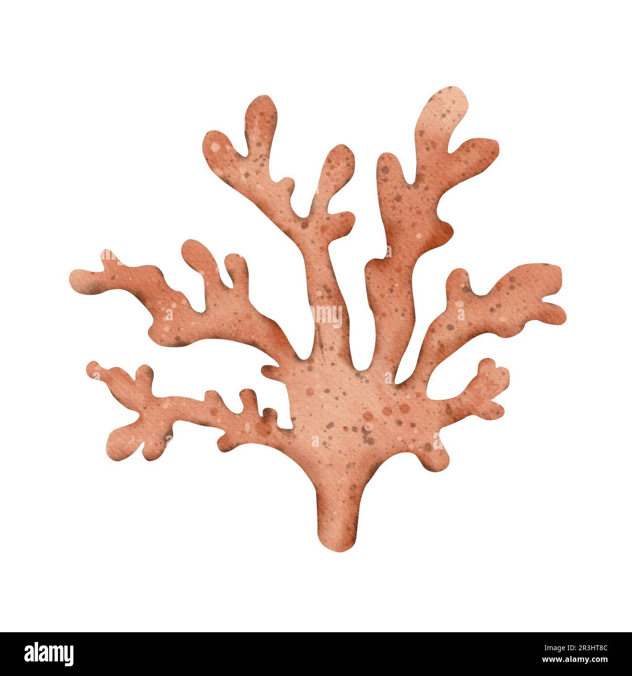 Branch coral hi-res stock photography and images - Alamy