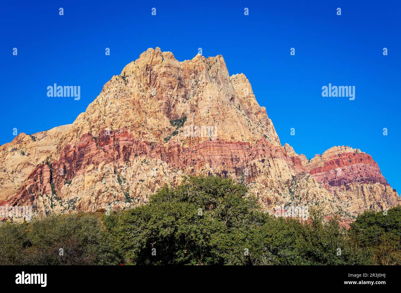 Spring Mountain Ranch State Park in Nevada Stock Photo Alamy