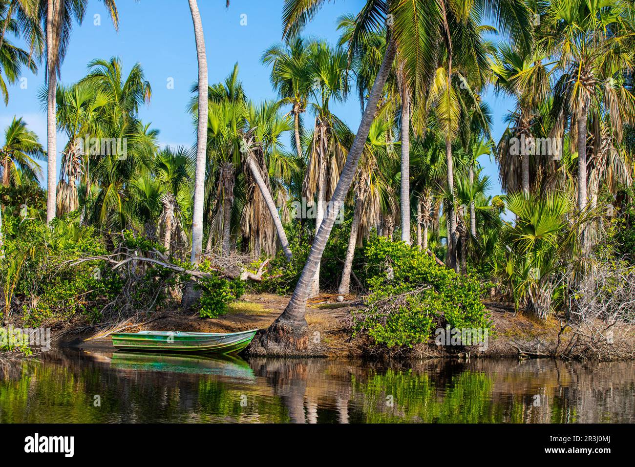 Laguna Ventanilla, Oaxaca, Mexico Stock Photo - Alamy