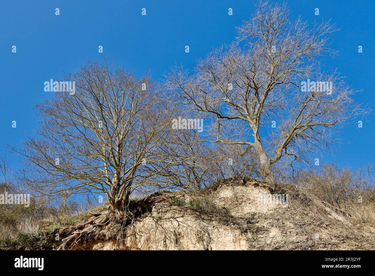 German Baltic coast in spring Stock Photo