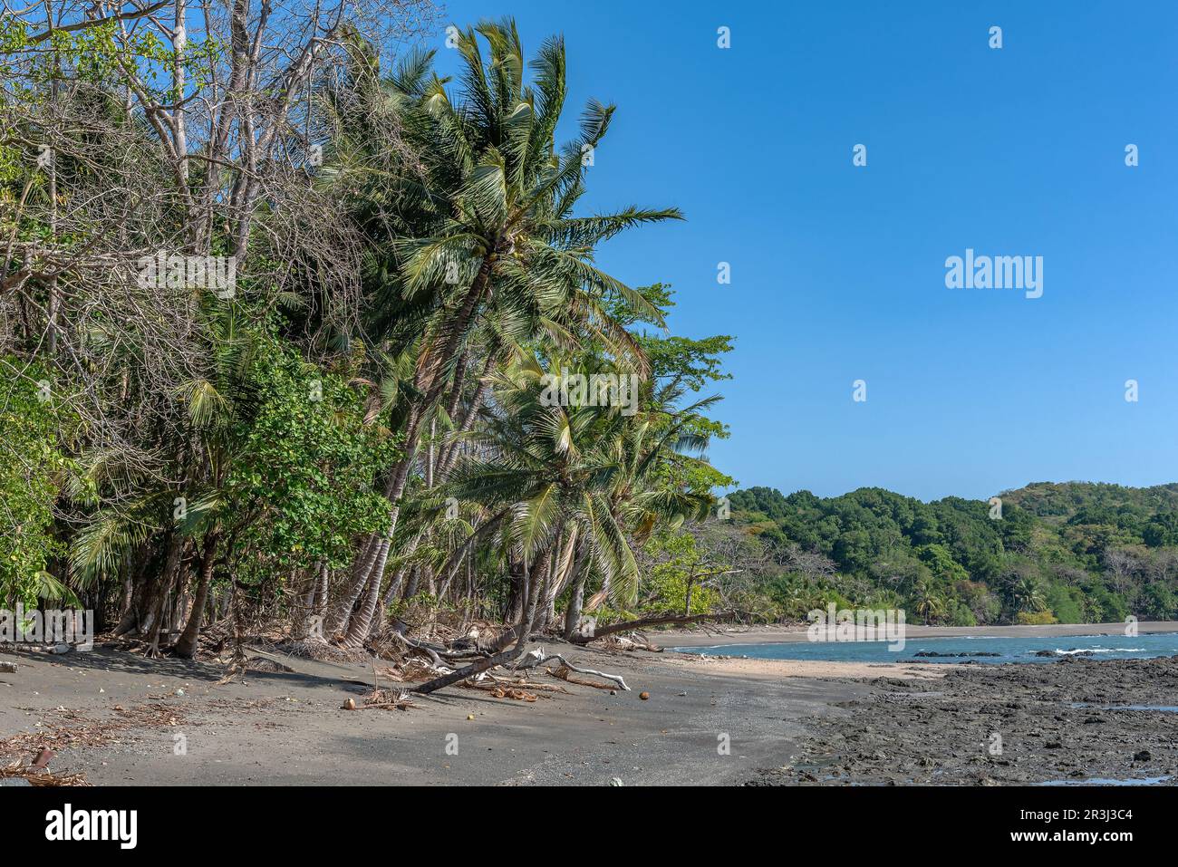 tropical beach on the cebaco island, Panama Stock Photo