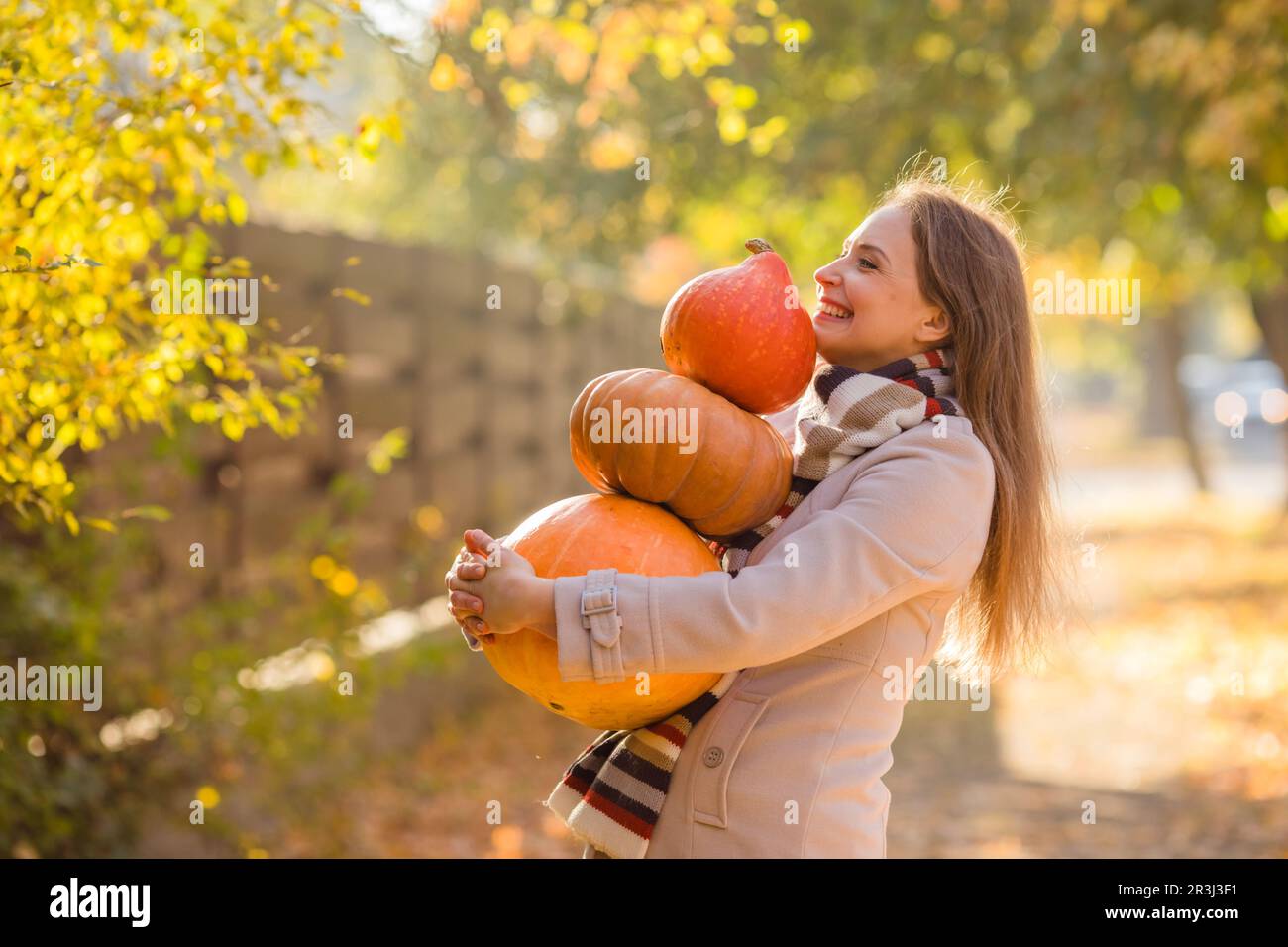 Portrait of happy smile woman with pumpkins in hand. Stock Photo