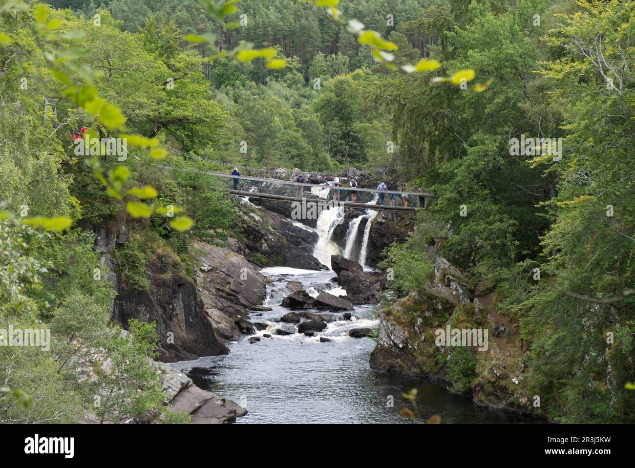 Contin, Rogie Falls, Strathpeffer, Highland, Scotland, Great Britain Stock Photo