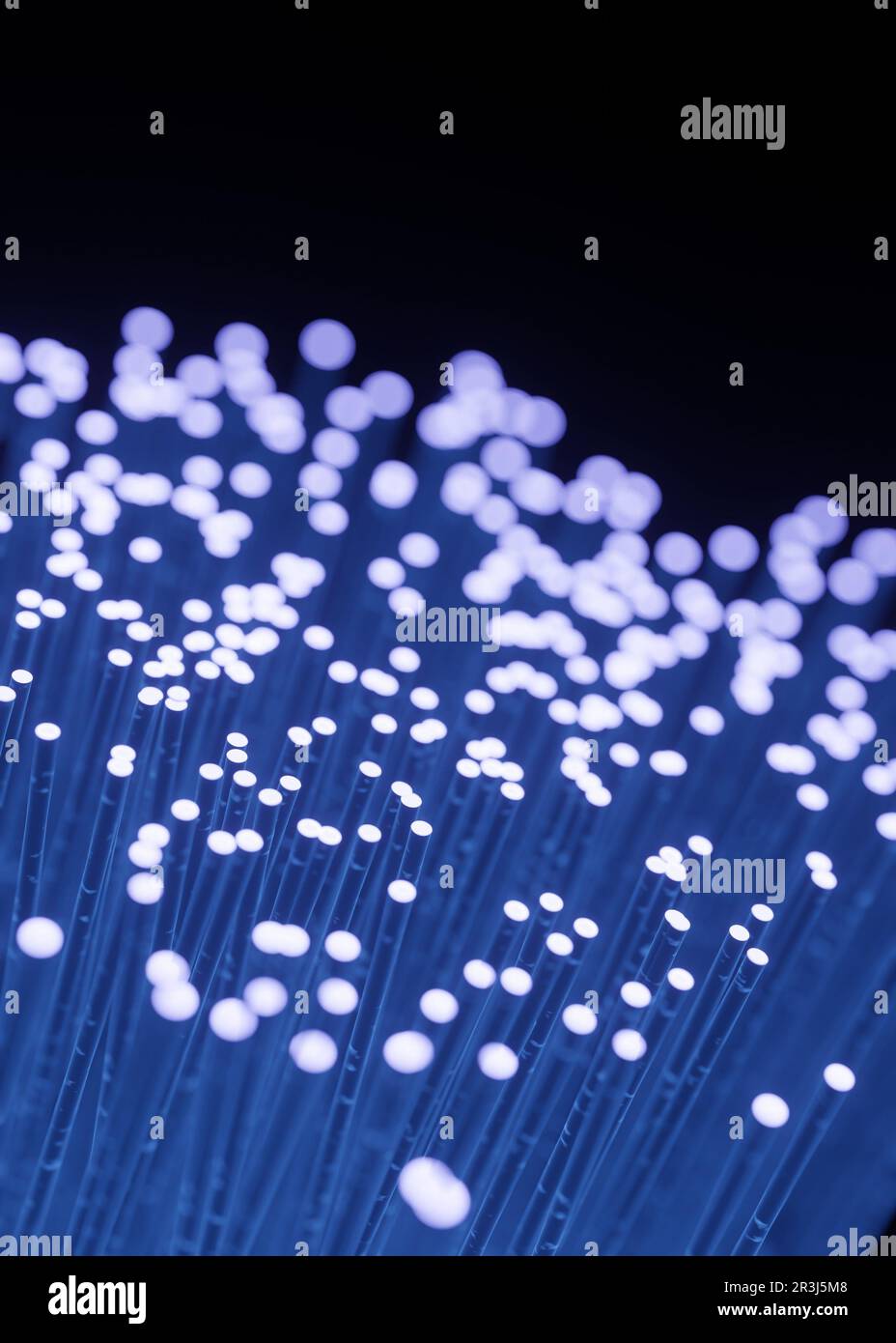 Fibre optic for data transfer transmission Stock Photo