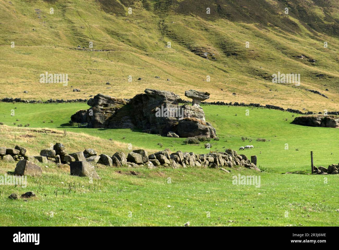 Bunnet hi-res stock photography and images - Alamy