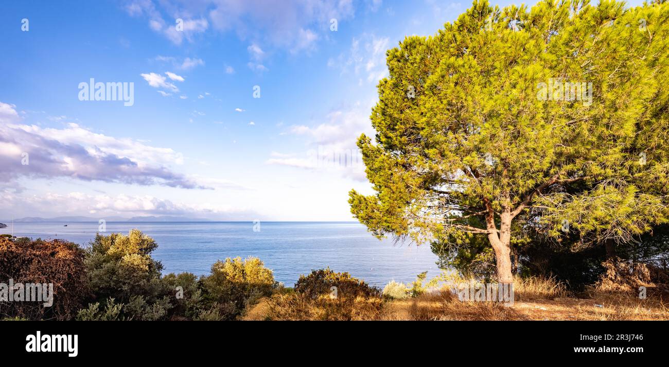 Idyllic coast hi-res stock photography and images - Alamy