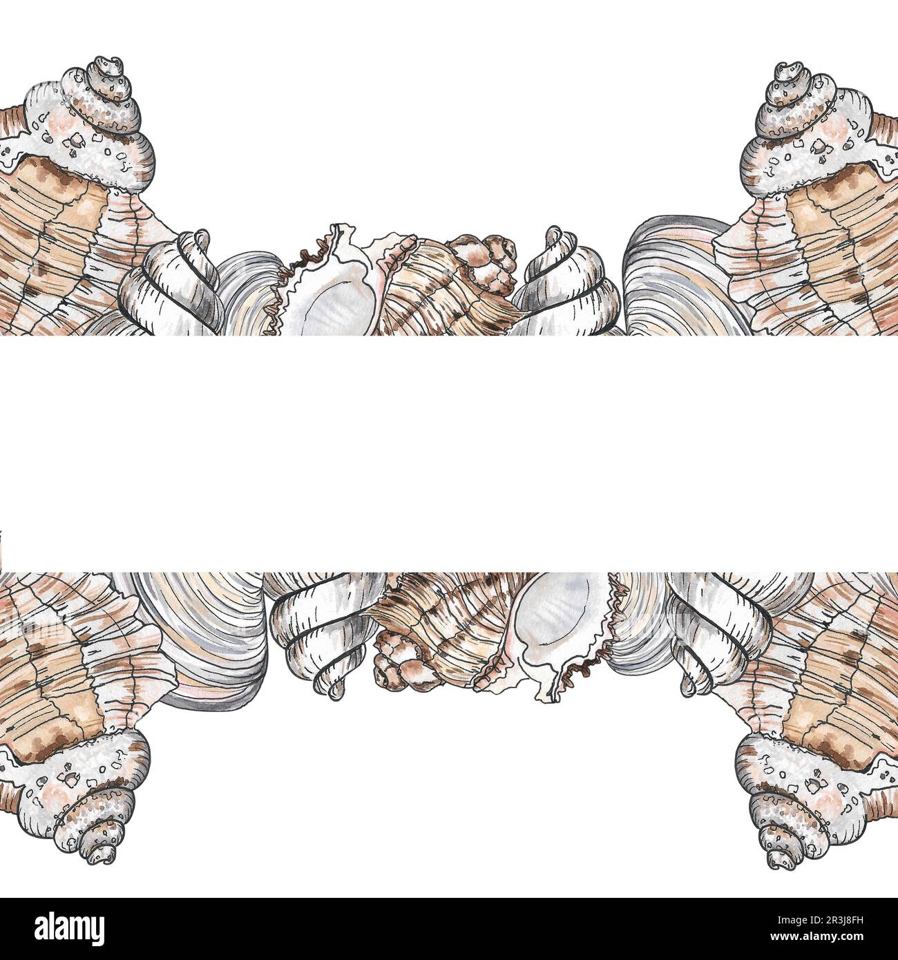 Animated Shell Boder Shell Border For Labels How To Make Beautiful Victorian Ornaments With