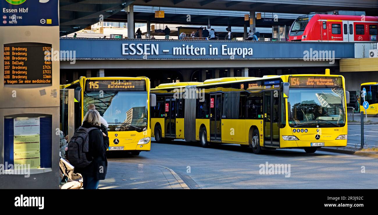 Buses of the Essener Verkehrsbetriebe at the main station, Essen, Ruhr area, Germany, Europe Stock Photo