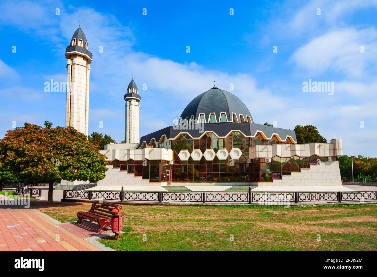 Pussy ayollar rasmlar